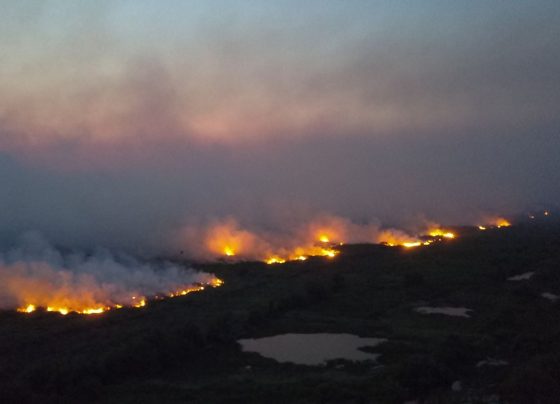 Mato Grosso mobiliza mais de mil bombeiros para combater 41 incêndios florestais