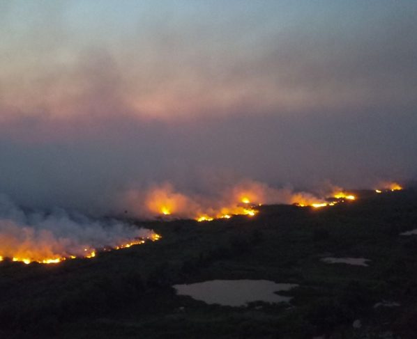 Mato Grosso mobiliza mais de mil bombeiros para combater 41 incêndios florestais