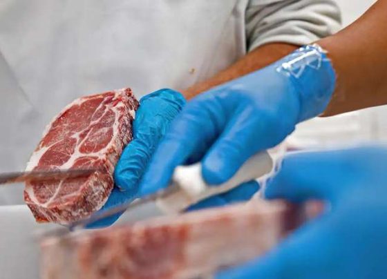 Produção de carne suína e de frango devem atingir novo recorde em 2025 - Foto: Divulgação/Istock/Mapa