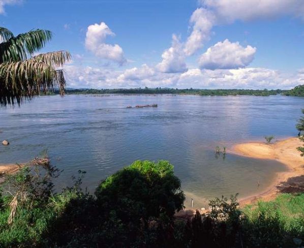 BNDES seleciona projetos de restauração ecológica na bacia hidrográfica do Xingu, nos estados do PA e de MT -