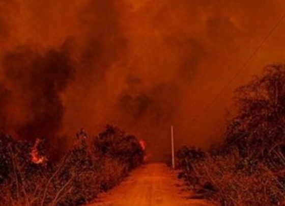 Bombeiros de Mato Grosso controlam incêndios em região de fazendas do Pantanal