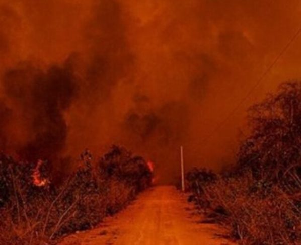 Bombeiros de Mato Grosso controlam incêndios em região de fazendas do Pantanal