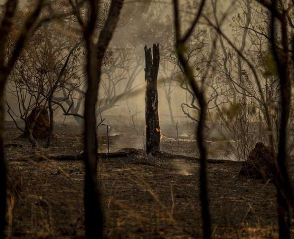 Corpo de Bombeiros combate 22 incêndios florestais em Mato Grosso nesta segunda-feira (07)