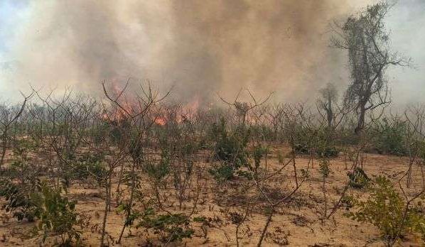 Povos indígenas de Mato Grosso sofrem com os incêndios florestais.