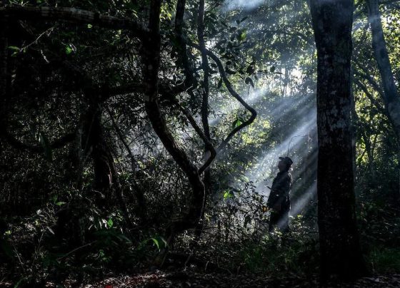 Justiça suspende construção de pousada turística em terra indígena no Xingu, em Mato Grosso