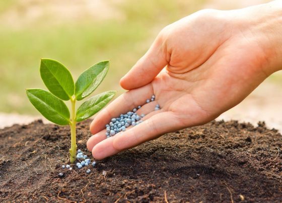 Mato Grosso consolida posição como principal consumidor de fertilizantes do país