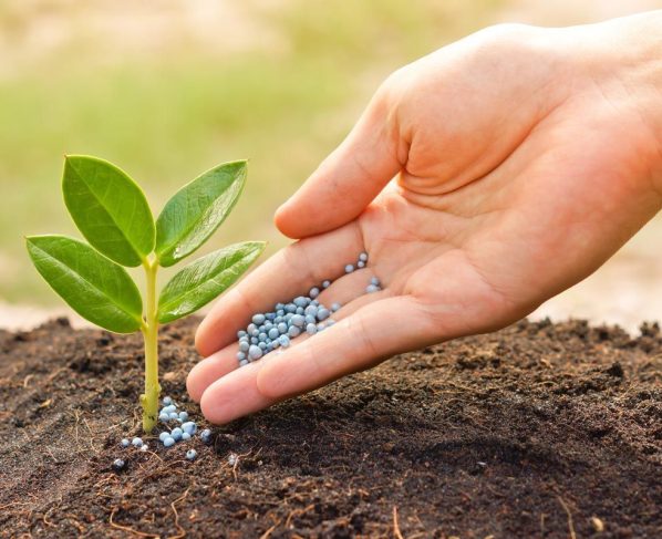 Mato Grosso consolida posição como principal consumidor de fertilizantes do país