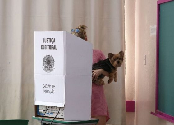 urna votando