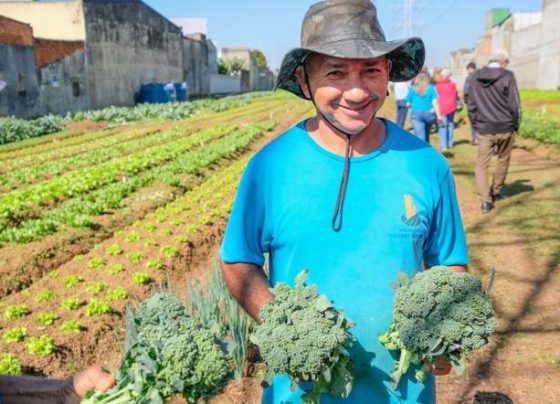 Agricultura sustentável é impulsionada em Mato Grosso