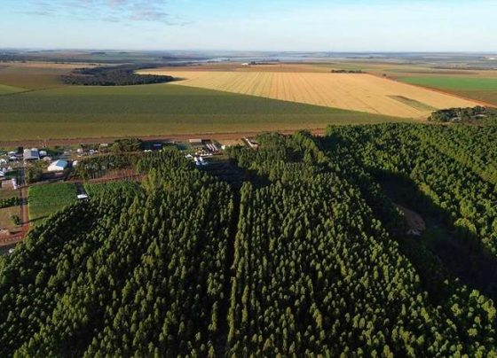 propriedade rural lavoura imagem aerea