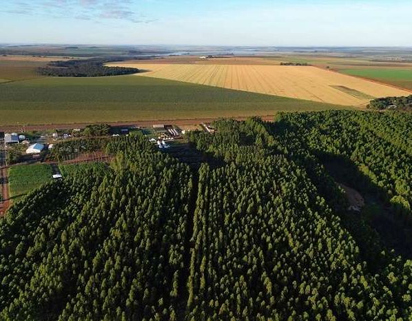 propriedade rural lavoura imagem aerea