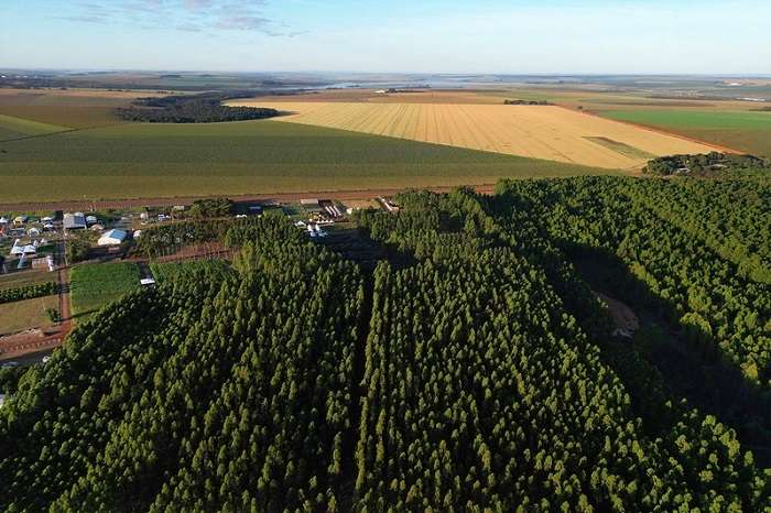 propriedade rural lavoura imagem aerea