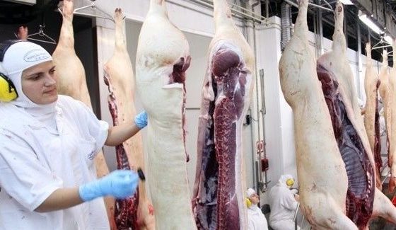 Exportações de carne suína recuam em março, mas ano segue positivo