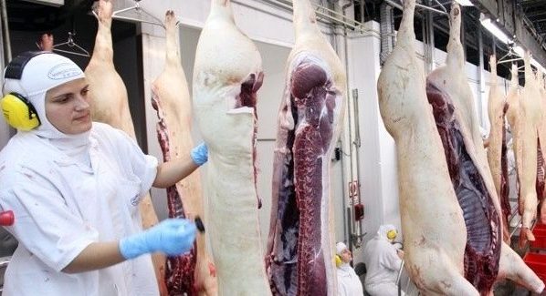 Exportações de carne suína recuam em março, mas ano segue positivo