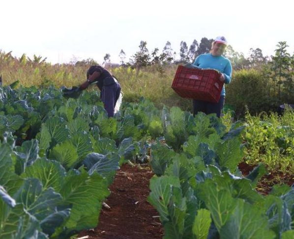 Fundo internacional adere à Aliança Global Contra a Fome com mais de R$ 1 bilhão - Divulgação