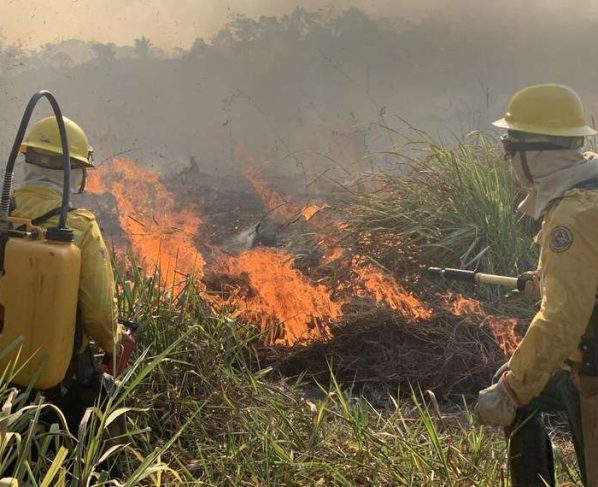 Queimadas em Mato Grosso