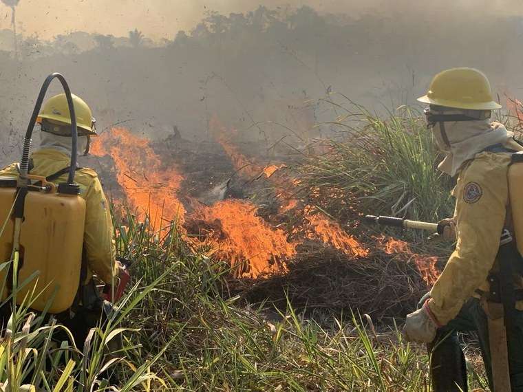 Queimadas em Mato Grosso