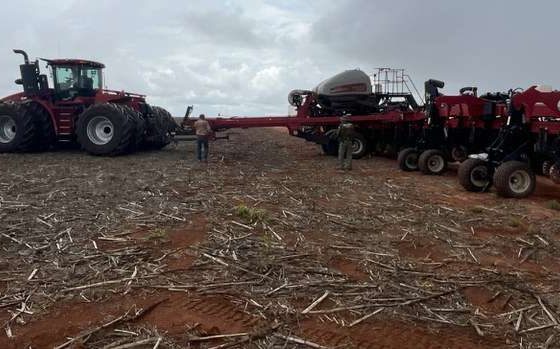 Desmatamento ilegal no Cerrado gera R$ 206 milhões em multas -