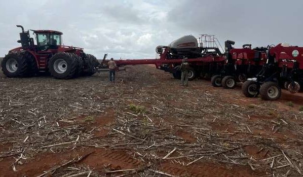 Desmatamento ilegal no Cerrado gera R$ 206 milhões em multas -