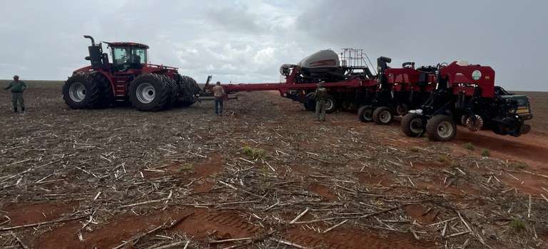 Desmatamento ilegal no Cerrado gera R$ 206 milhões em multas -