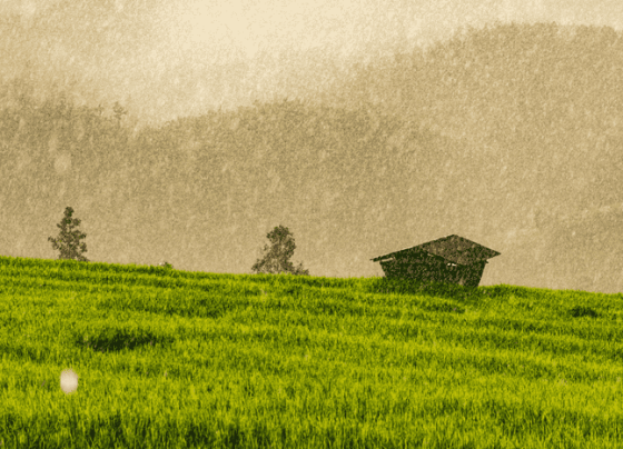 chuva propriedade rural