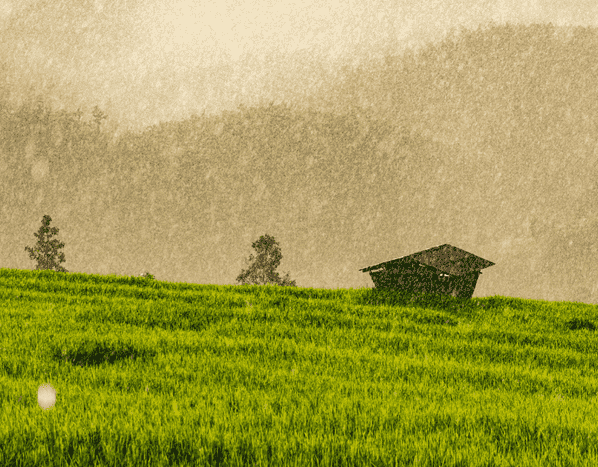 chuva propriedade rural