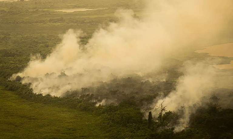 Governo federal intensifica combate ao desmatamento ilegal em Mato Grosso