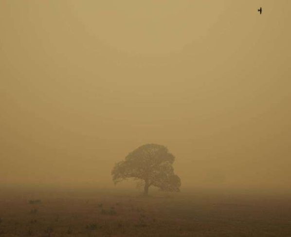 Chuva ajuda a combater incêndio em parte do Pantanal Mato Grosso