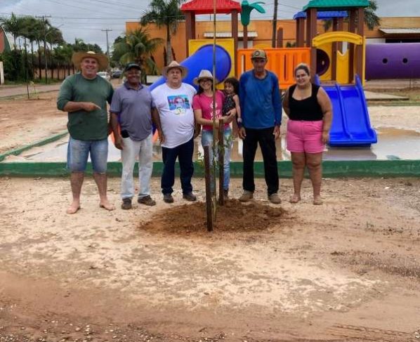 Meio ambiente, parceiros e voluntários plantam mais de 300 mudas de árvores nativas em Sinop