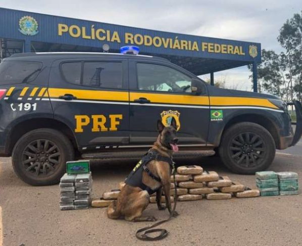 Ministério Público recorre contra soltura de caminhoneiro flagrado com 46 kg de drogas em Mato Grosso