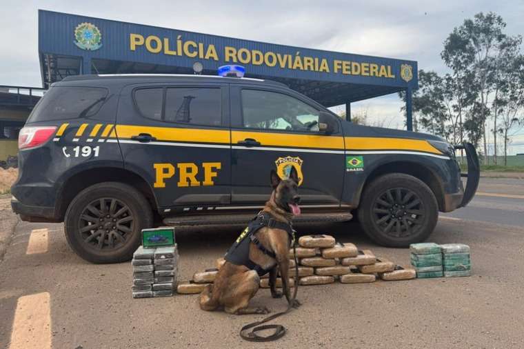 Ministério Público recorre contra soltura de caminhoneiro flagrado com 46 kg de drogas em Mato Grosso