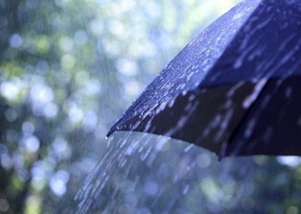 Cidade de Mato Grosso registra chuva intensa na última quinta-feira (12), vídeo