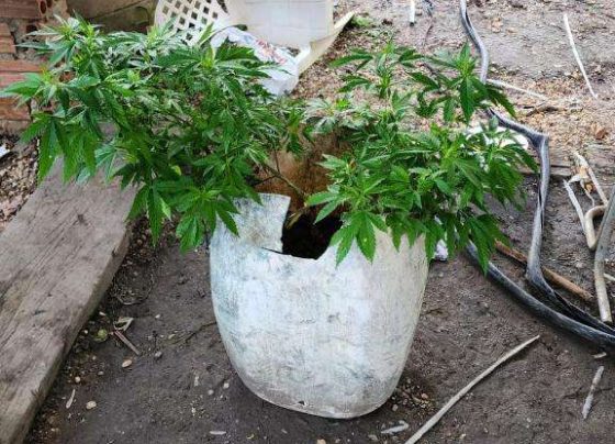 PM prende integrantes de facção criminosa especializada em roubos e furtos de cabos em Mato Grosso