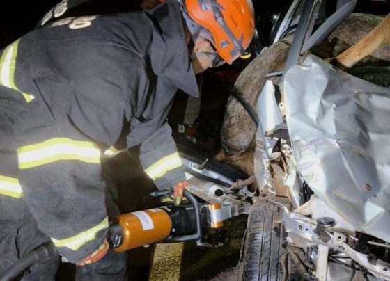 Bombeiros de Mato Grosso retiram corpos de homem e cavalo presos às ferragens após acidente na MT-170