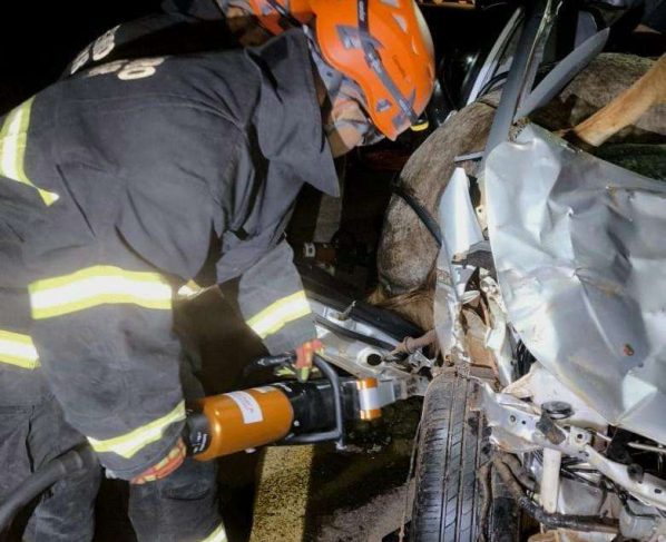 Bombeiros de Mato Grosso retiram corpos de homem e cavalo presos às ferragens após acidente na MT-170