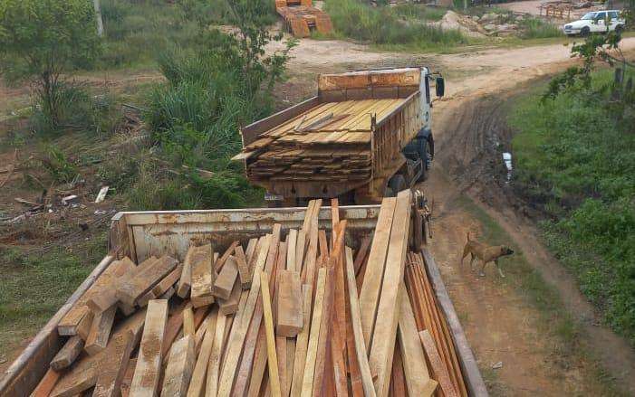 Sema apreende madeira irregular em depósitos e aplica multa de mais de R$ 73,7 mil em Mato Grosso