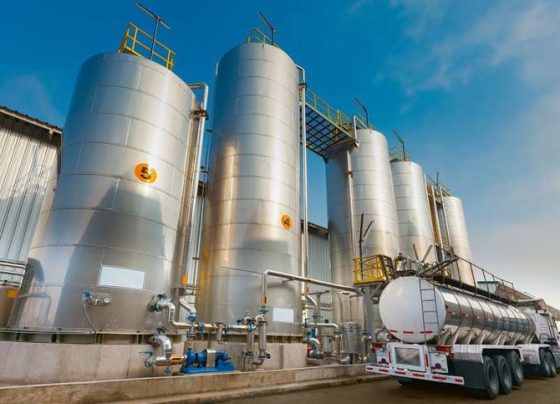 A indústria mato-grossense é composta, segundo levantamentos de 2023 do Observatório de Mato Grosso, por 1.152 empresas de grande porte, 1.447 empresas médias, microempresas correspondem a 105.046 empreendimentos e 15.727 microempresas, totalizando 123.372 estabelecimentos.