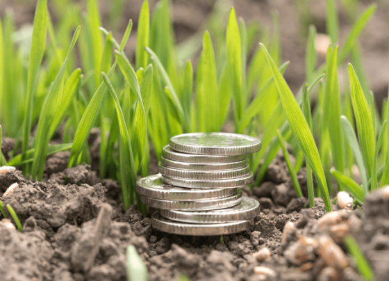 Fundos privados de investimento no agro crescem até 174% em abril - Mapa