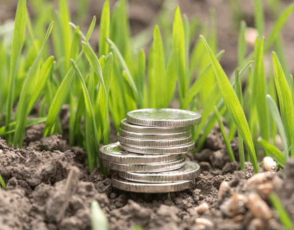 Fundos privados de investimento no agro crescem até 174% em abril - Mapa