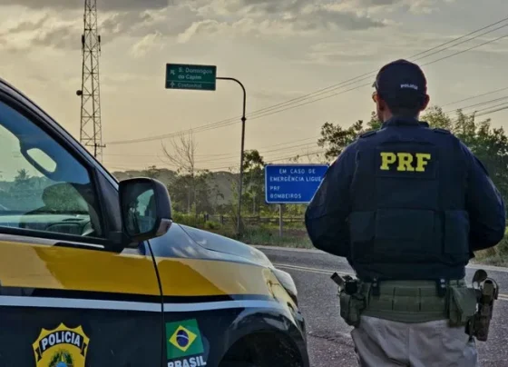 PRF apreende drogas durante fiscalização em Mato Grosso