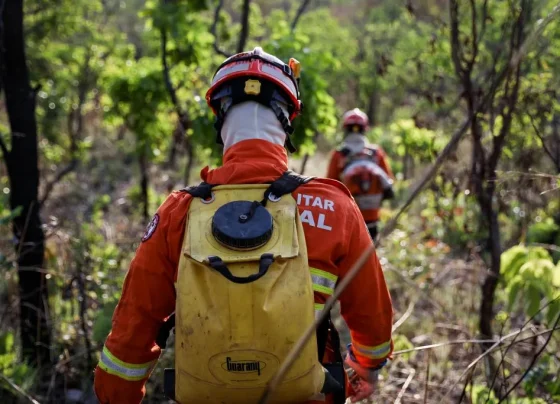 Bombeiros combatem 12 incêndios florestais em Mato Grosso neste domingo