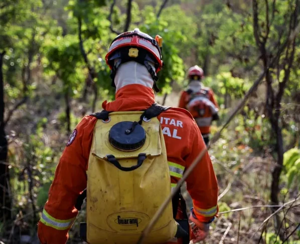 Bombeiros combatem 12 incêndios florestais em Mato Grosso neste domingo