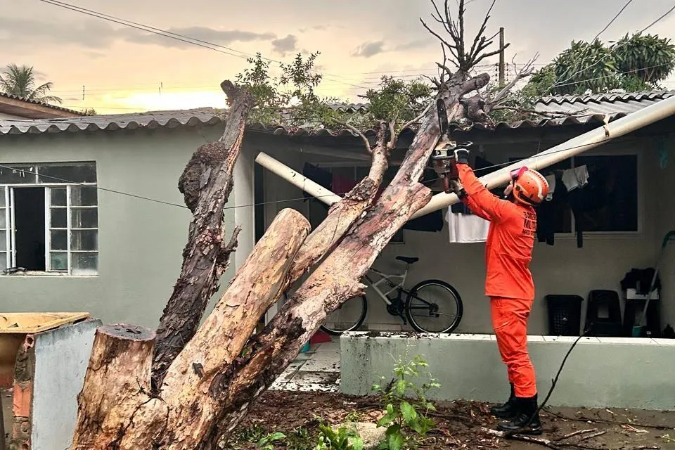 Bombeiros removem árvore caída sobre casa em Primavera do Leste