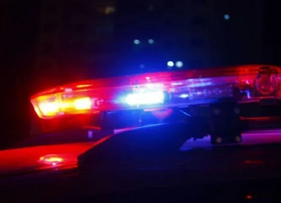 Dois homens são presos por lesão corporal após briga familiar em Colniza