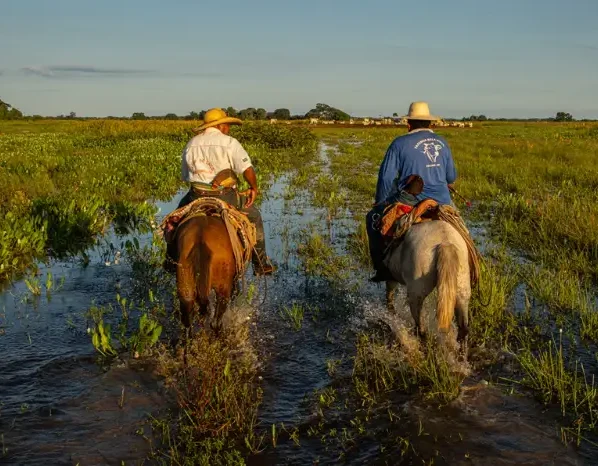 pantanal cheia cavaleiros