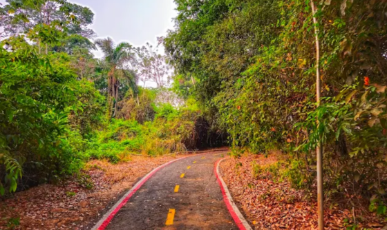 Pesquisa revela perfil e demandas dos visitantes de Sorriso