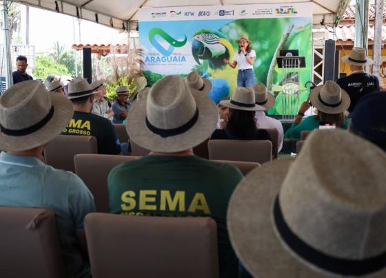 Programa amplia recuperação ambiental em propriedades no Araguaia