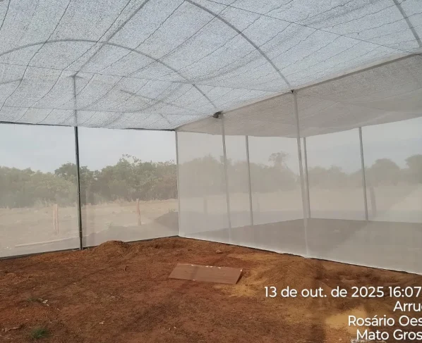 Projeto de aquaponia impulsiona agricultura familiar em Mato Grosso