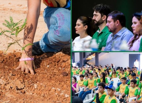 Projeto de viveiro permanente e lancado com apoio do Ministerio Publico de Mato Grosso