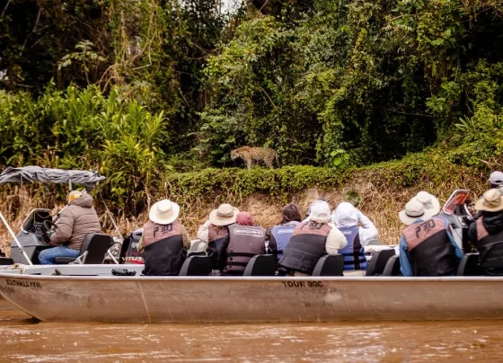 Retomada pós-pandemia: Viagens de famílias em Mato Grosso crescem 12,8%, o 4º maior salto do país